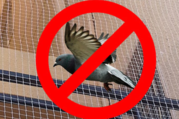   Pigeon Safety Nets  in Ghatkesar  